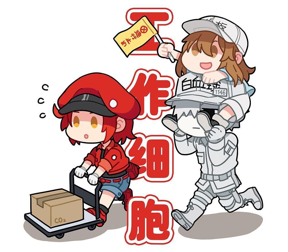 央视时隔14年首次播出日本动漫，满口东北话的《工作细胞》好逗