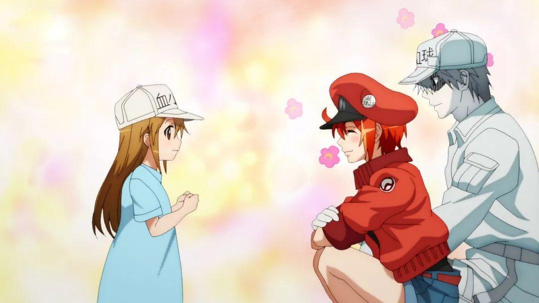 不散观影团｜《工作细胞：细胞大作战》上海 广州 北京 杭州·免费观影