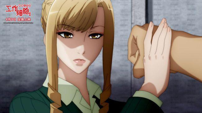 电影版《工作细胞》发布新预告，热血治愈开启身体大冒险