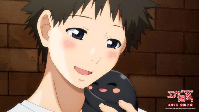 电影版《工作细胞》发布新预告，热血治愈开启身体大冒险