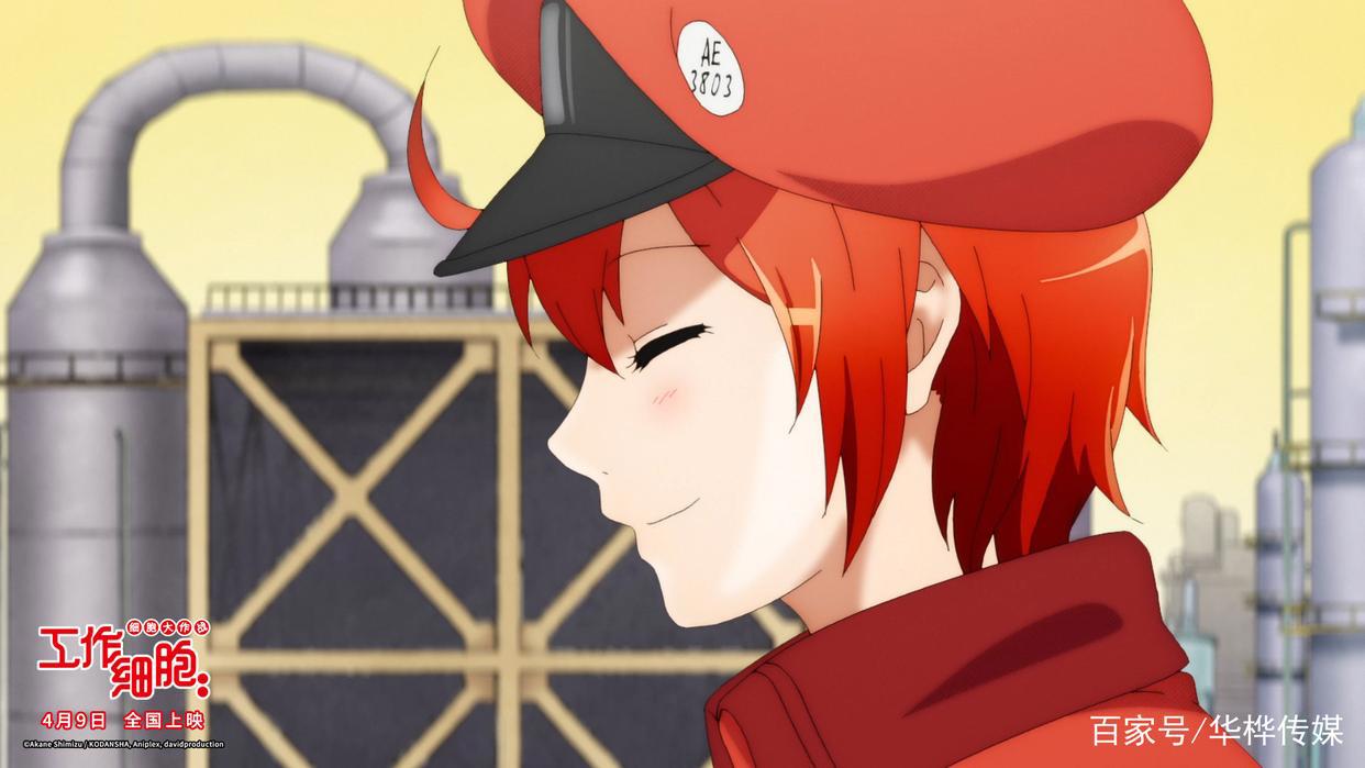 电影版《工作细胞》发布全阵容海报预售开启解锁细胞萌力