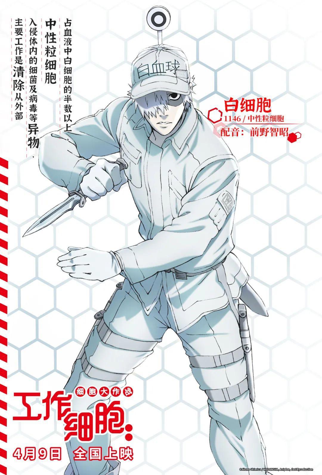 “一般”的细胞也能当好主角——动画电影《工作细胞：细胞大作战》点评