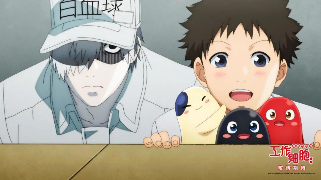 “一般”的细胞也能当好主角——动画电影《工作细胞：细胞大作战》点评