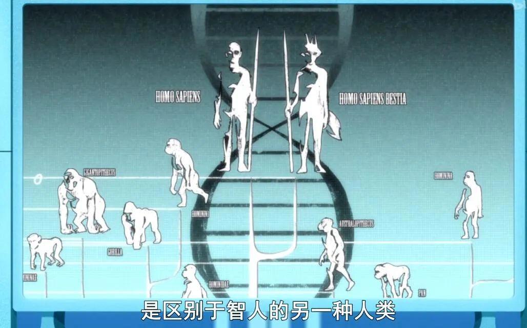 豆瓣8.9，深挖《BNA》的三层内涵，如洋葱般一层一层剥给你看