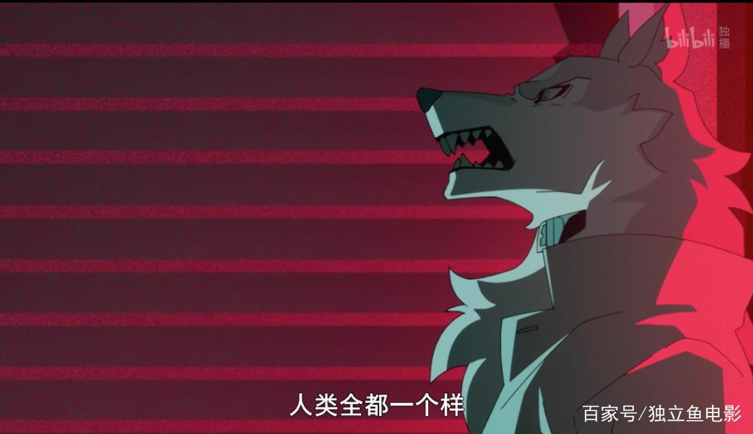 聊一部9分新番，请所有病毒歧视闭嘴