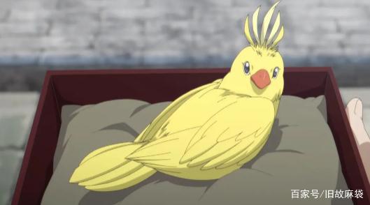 B站9.3分的《百妖谱》，是值得被夸一夸的国产动画！