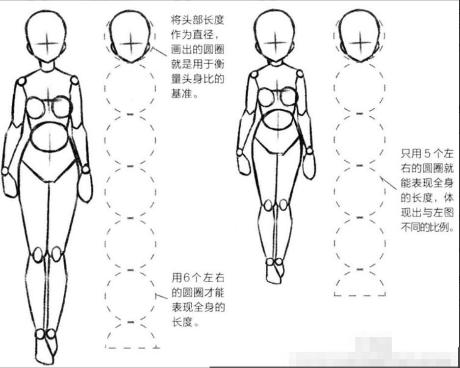 4月动画《球咏》：第一部失败之作！芳文社：这锅我不背