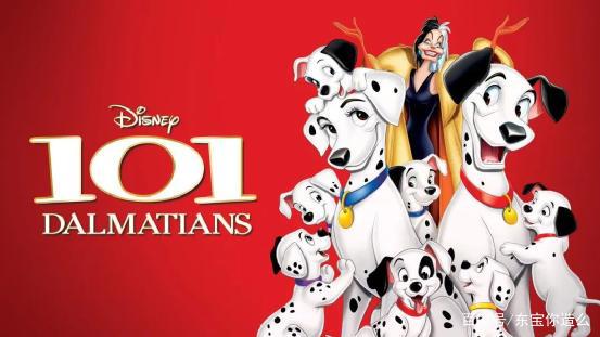 十部童年经典动画，再看时才发现小智是个大力士，小当家是美食家