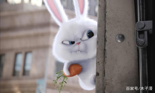 动漫中出现的五只兔子，认识1只的是新手，认识3只的是动漫大神了