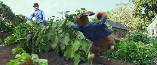 《比得兔》一只疯狂的兔子