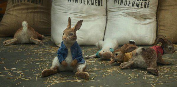 世界上最红的兔子《比得兔》2月9日北美上映