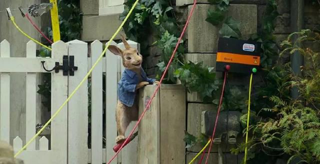 《比得兔》——兔子可爱，但故事三观奇葩