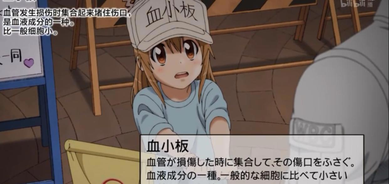 动漫里可爱妹子皆老婆，可换老婆频率比翻书还快，你们还记的几位