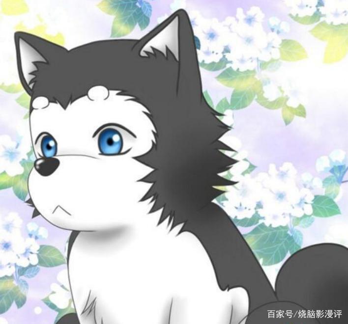 吸猫撸狗过时啦！盘点动漫中人气吊炸天的萌宠，可爱无罪okex！
