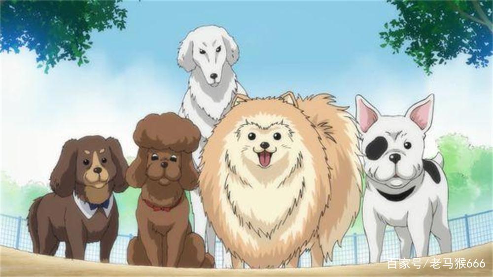 《织田肉桂信长》里宠物的前身——伊达政宗