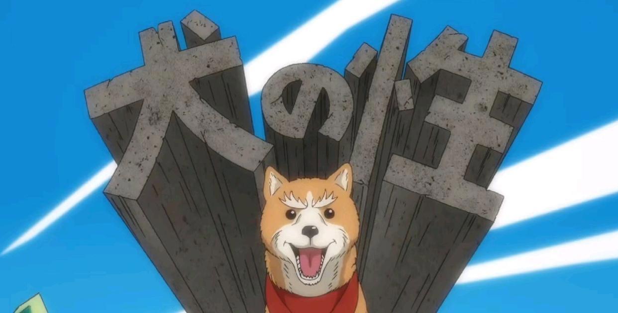 《织田肉桂信长》：古代大将军都转生成了狗子？这脑洞真大！