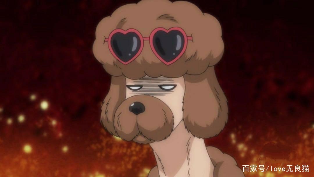 织田肉桂信长：夏天限定新造型，查理变身贵妃，肉桂与狗友开车