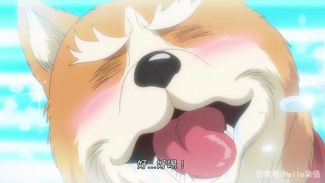 动漫一月新番有哪些比较好看的，看完这篇文章你就知道了