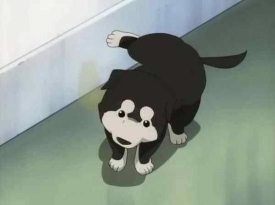 说到动画中的狗你会想到哪只？日媒投票动画片中登场的‘狗’角色