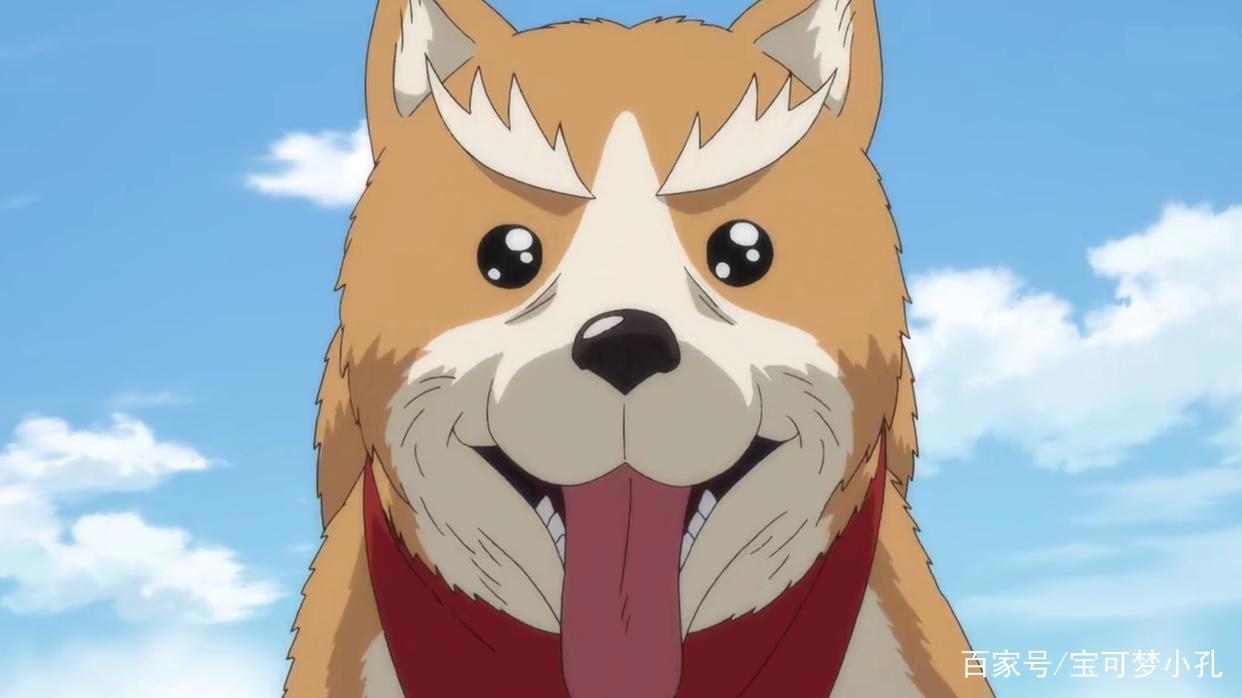 没想到来世居然转世成了小狗，这部动漫最棒的亮点竟然是花絮