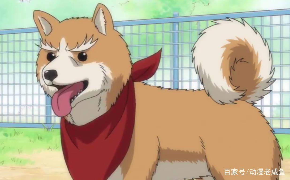 这番要放国漫少不了一个举报、一个禁播