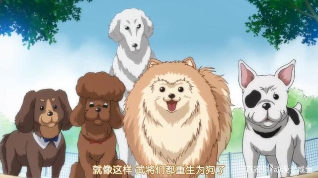 这番要放国漫少不了一个举报、一个禁播