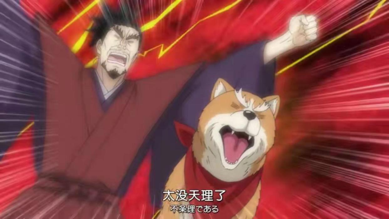 日本战国名将竟集体转生成狗？一月必追新番之一，笑到肚子疼