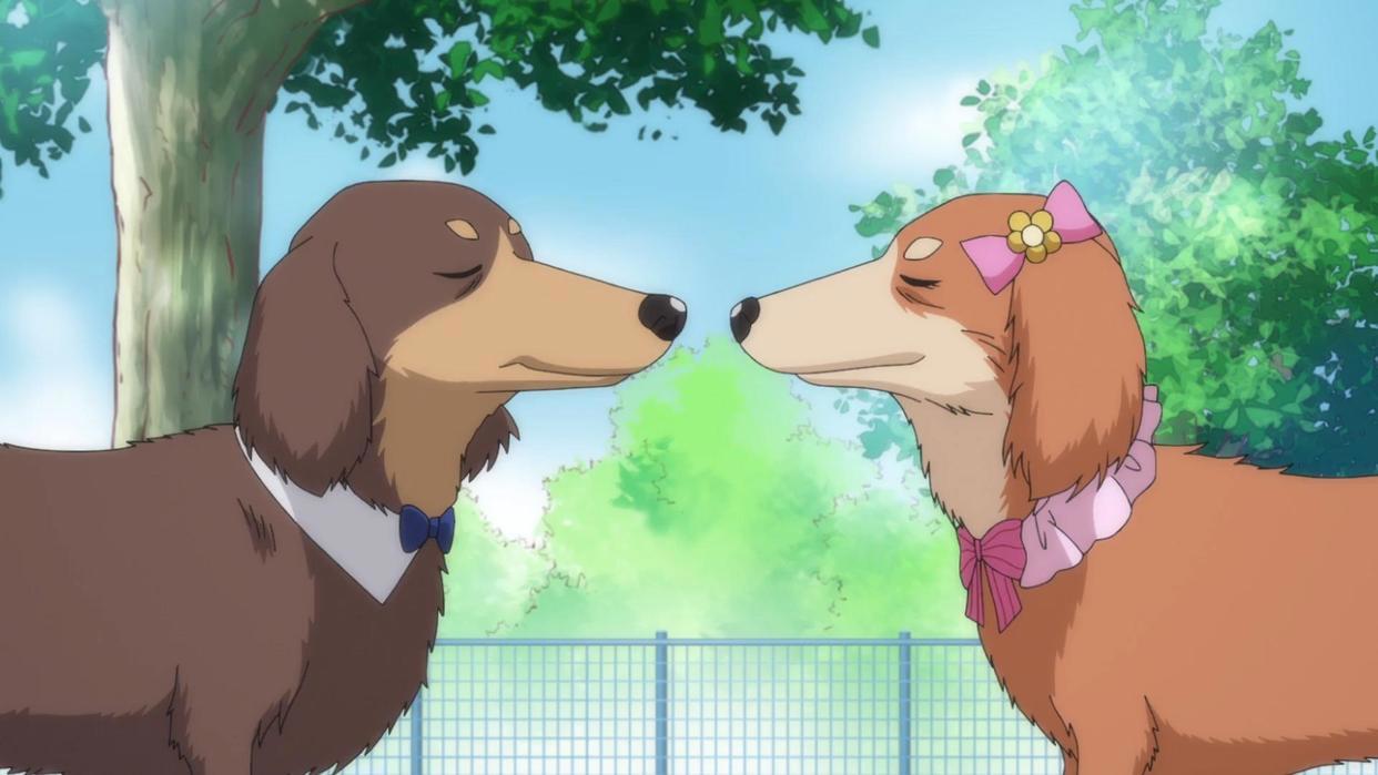 一群男人都认为织田信长男友力很高，女孩子们的想法完全不一样