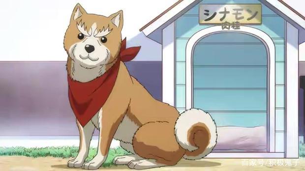 战国武将重生变汪星人，这部爆笑的动漫不容错过