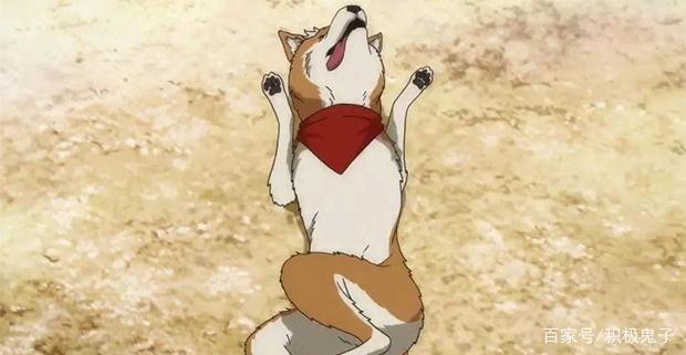 战国武将重生变汪星人，这部爆笑的动漫不容错过