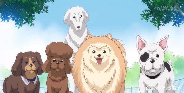 战国武将重生变汪星人，这部爆笑的动漫不容错过