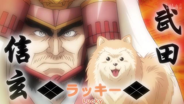 最逗1月新番，日本著名武将临终前耍帅，结果真的转生成狗了！