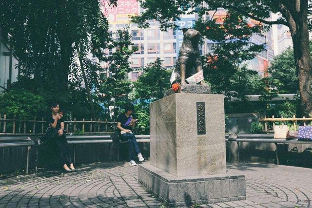 最逗1月新番，日本著名武将临终前耍帅，结果真的转生成狗了！