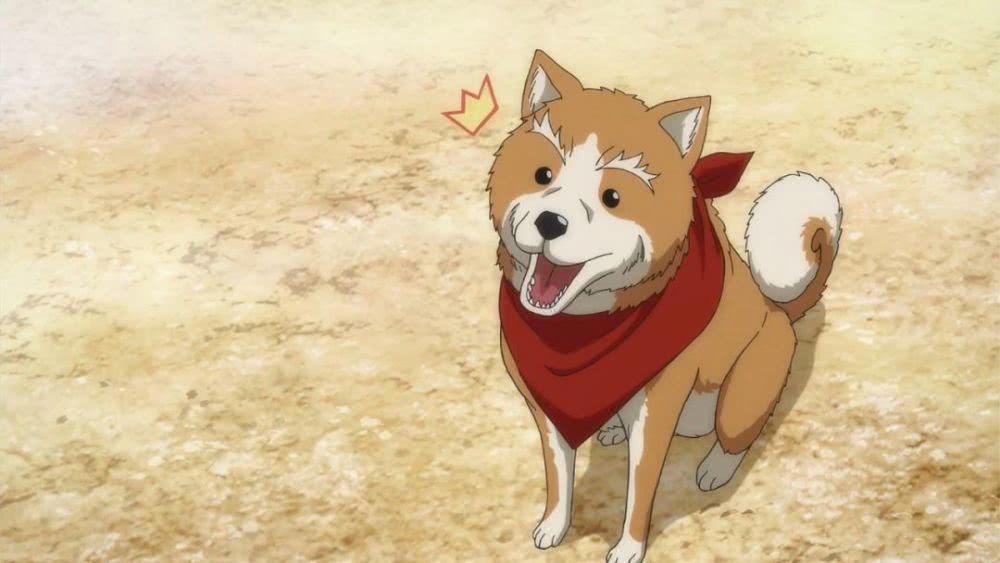 织田信长在二次元有多惨，变成反派还算好的结局