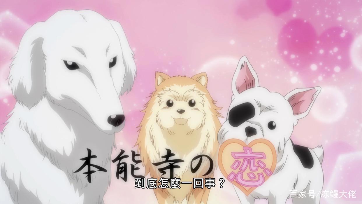 织田信长和明智光秀谈恋爱？这部动漫脑洞太大，调侃历史