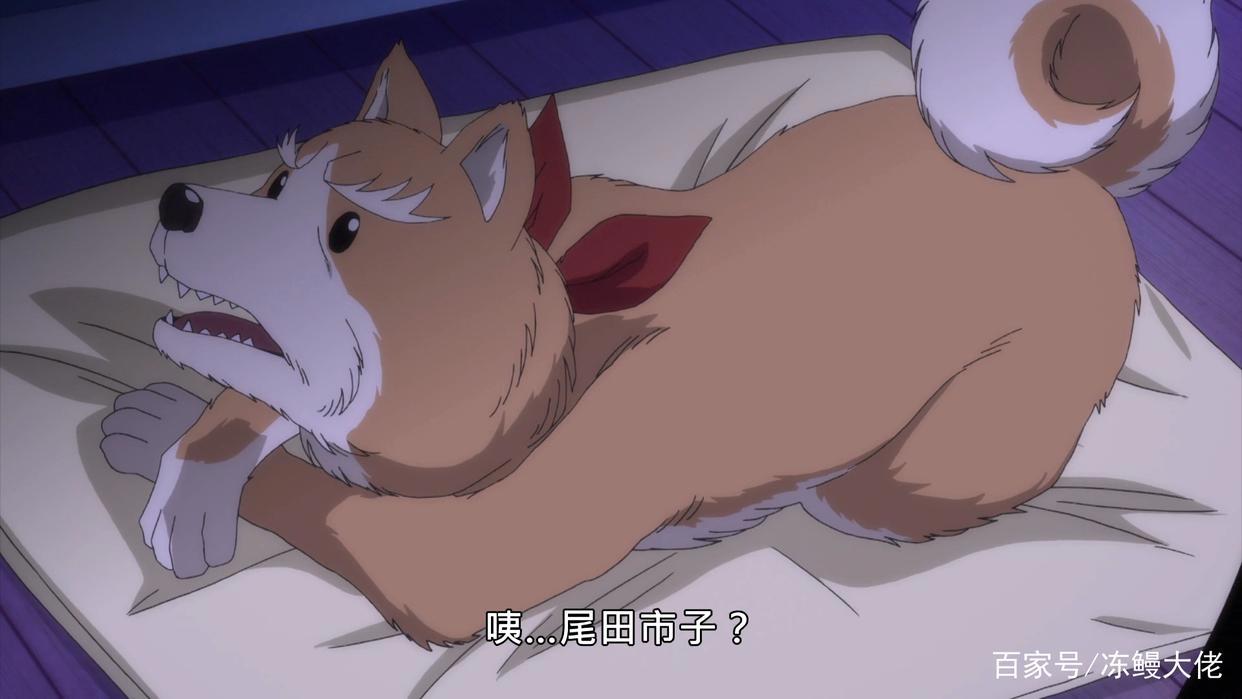 织田信长和明智光秀谈恋爱？这部动漫脑洞太大，调侃历史