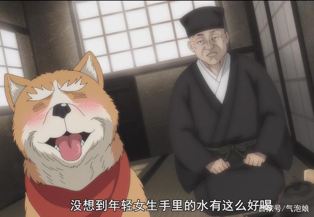 织田肉桂信长：大将军转世成狗，难以抵挡少女的投喂