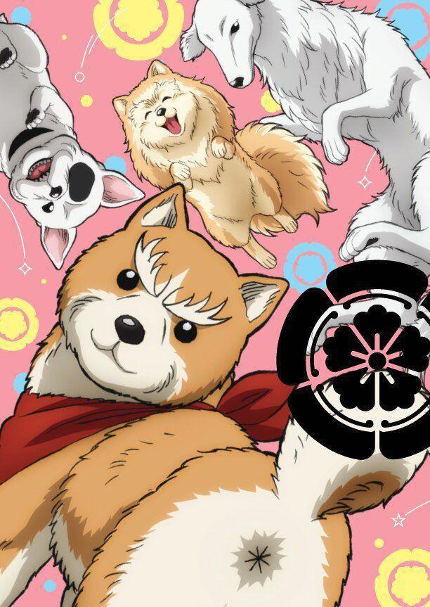 「STAFF」《织田肉桂信长》制作阵容公开2020年一月播出