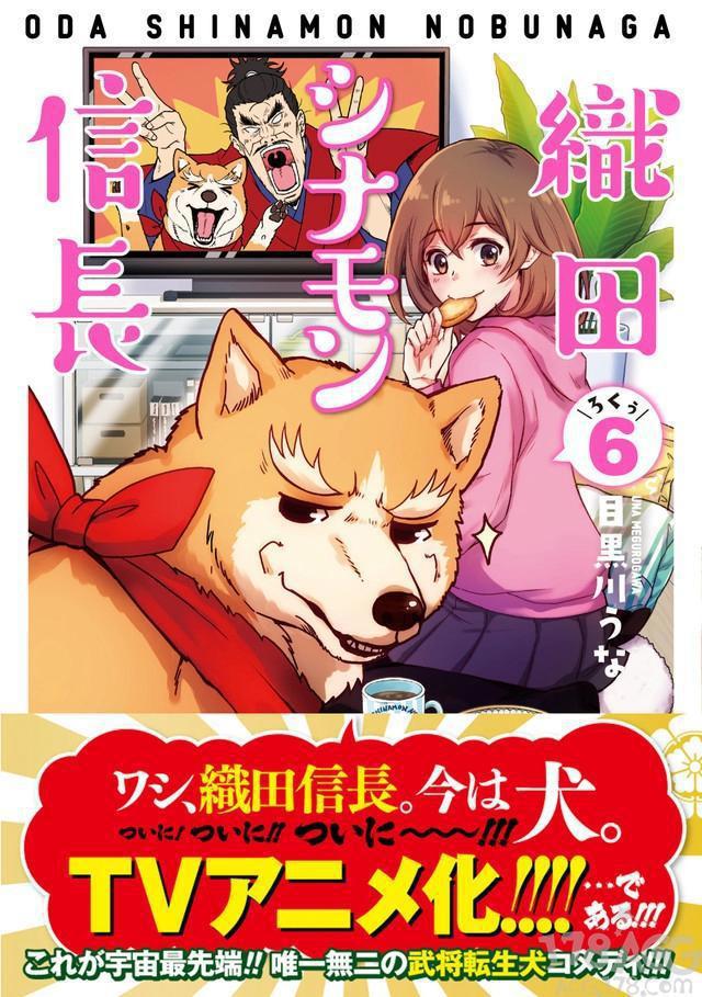 战国武将转生汪星人的搞笑漫画，「织田肉桂信长」TV动画化