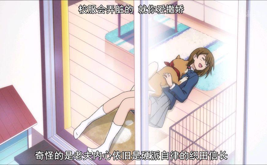 推荐动漫，一只不同寻常的柴犬？关于《织田肉桂信长》