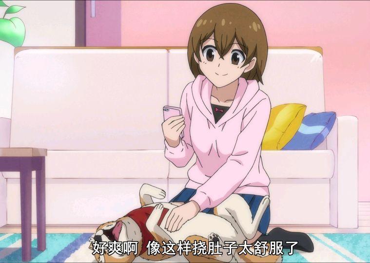 推荐动漫，一只不同寻常的柴犬？关于《织田肉桂信长》