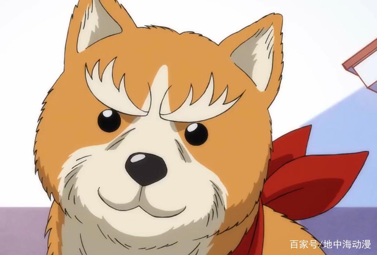 「新番推荐」辣爆眼睛的萌宠爆笑番——《织田肉桂信长》