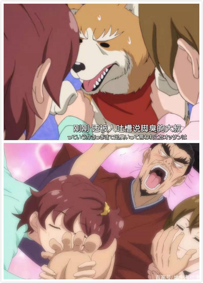 「新番推荐」辣爆眼睛的萌宠爆笑番——《织田肉桂信长》