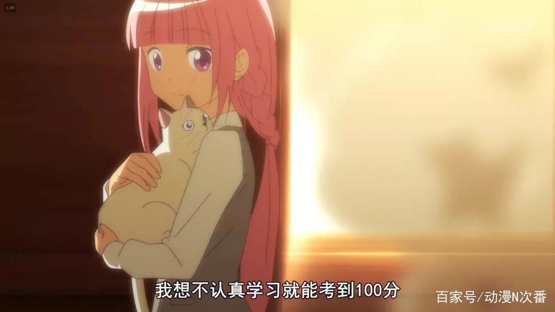 成就传奇的魔法少女又回来了！这次没有老虚，能否延续奇迹？