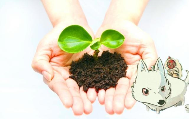 幽灵公主：赶走现实中的“凶煞神”，还自然一个青山绿水！