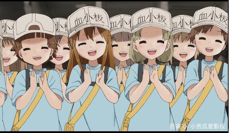 豆瓣8.9！一部你不得不服的创意动漫！看完你会跪谢自己！