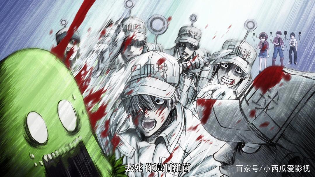 豆瓣8.9！一部你不得不服的创意动漫！看完你会跪谢自己！