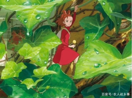 借东西的小人中，少女阿莉埃蒂活泼好动，父母却很小心