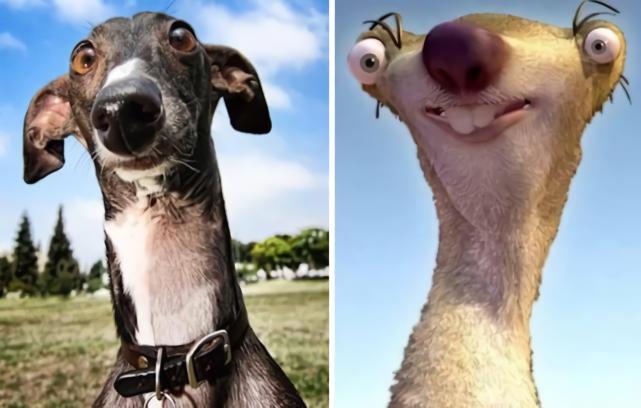 谁说二次元都是虚构的？看到这些突破次元壁的画面，我被治愈了