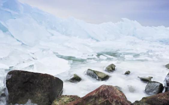 你对冰河世纪所有的好奇心，都能在这里得到满足丨蝌学荐书